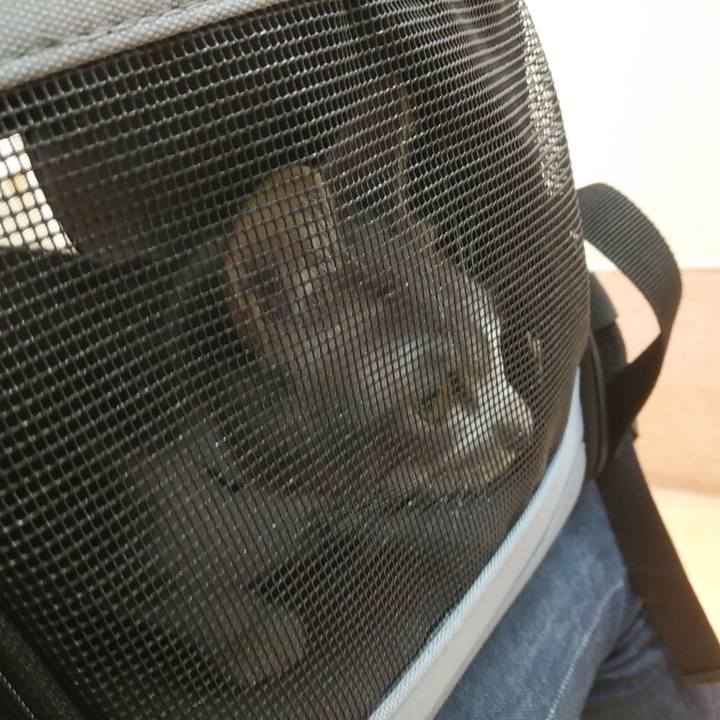 A34a56b8 6137 4820 9fba 7272587ebdb5 1591920940350