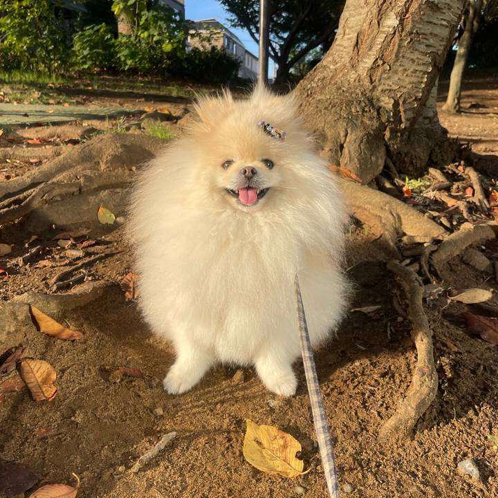 A34a671c 59cc 44d5 a01d c4a8a1b704e1 1730335608179