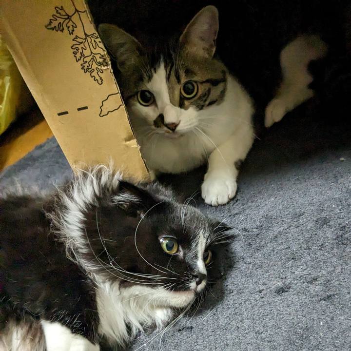 A34a978e 62c4 4381 97c7 e1852f520810 1682200477336