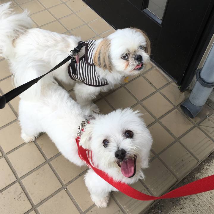 A34aa6a7 6e15 4e14 b04c 8082dd29390d 1562984862455