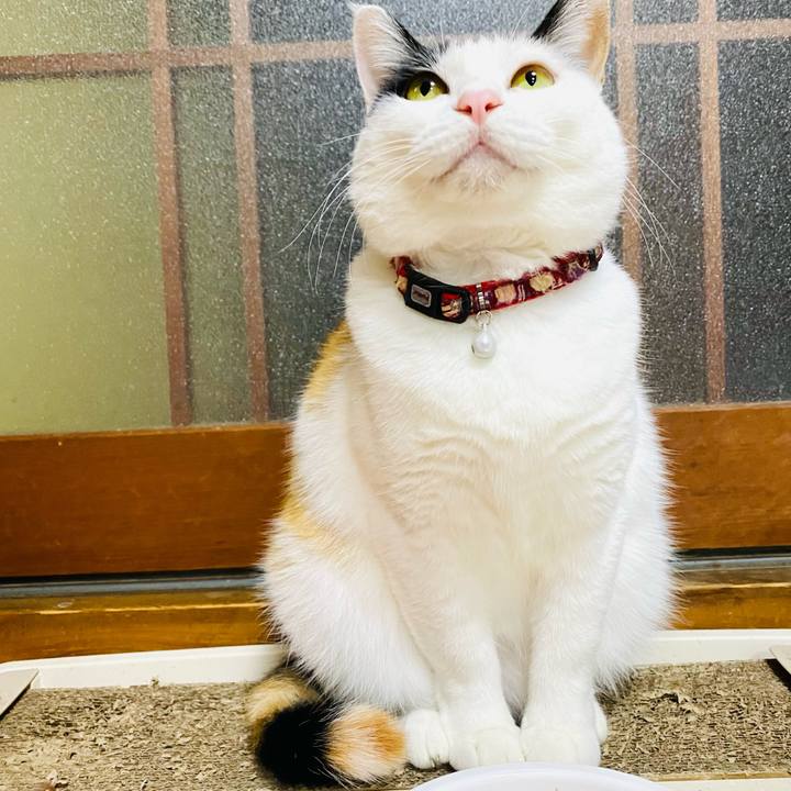 A34aaa5f 38d7 480c b306 76e7af0ed2c4 1675334383945