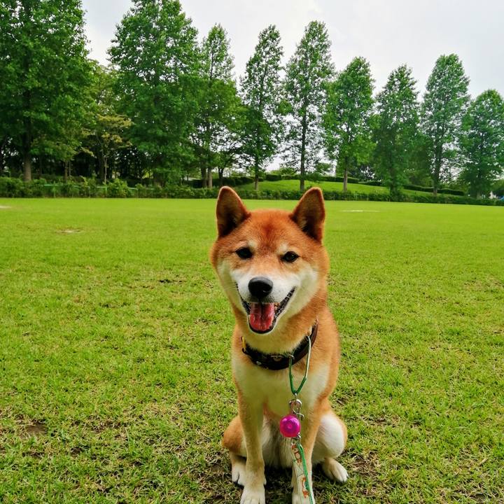 A34aac20 5841 47cd a723 ea8c5ab2877d 1625983556336