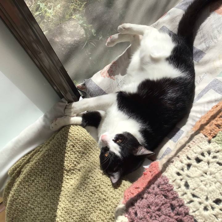 A34ab4f5 1f85 4910 9695 67149f45deff 1632735164556