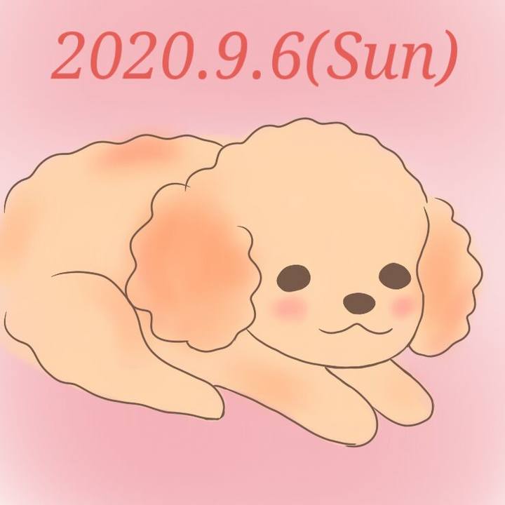 A34aec76 042b 4d9e 8af5 48c332554df0 1599395229783