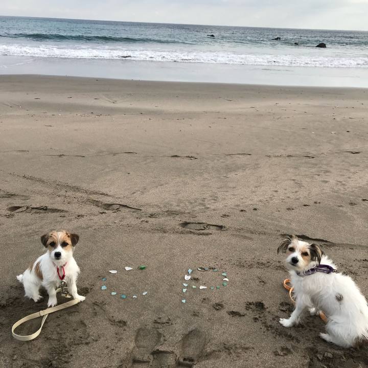 A34af397 6c97 4b38 a50e 17c1eace4505 1766822460750