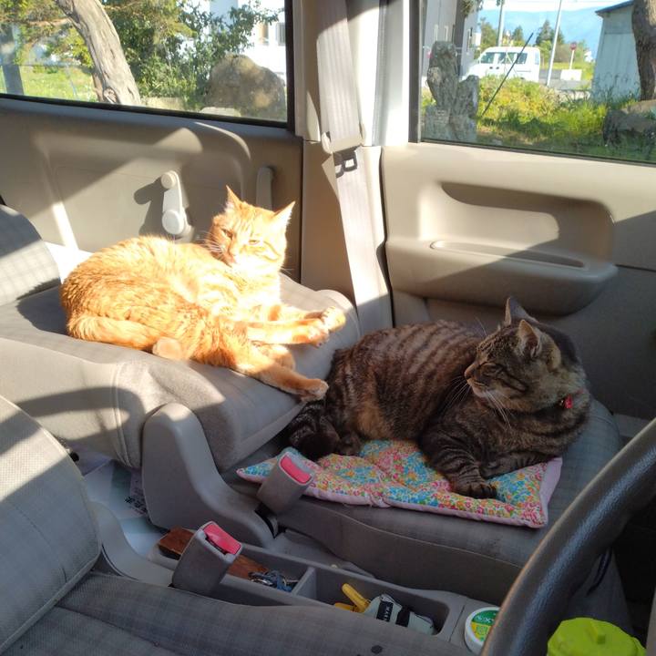 A34b2d7d c4b6 40fc a833 81affc9cb0c5 1685521448413