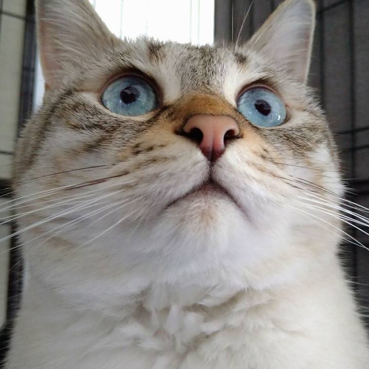 A34b6b35 4315 4760 8572 a0cc780171fe 1659930196538