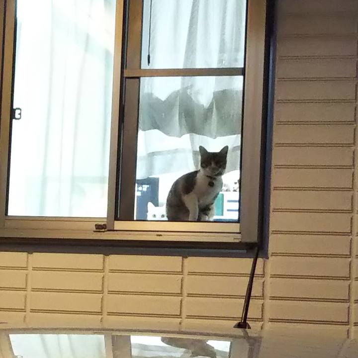 A34b8e9f a5e8 4485 9843 c7396e6bb7a4 1640730703405