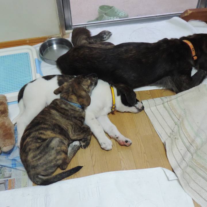 A34b9a59 c003 4d2a 98b0 9235ac59d147 1639320850836