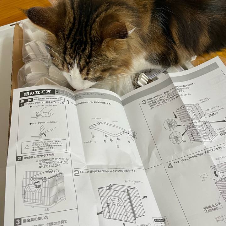 A34bddb1 0410 42cd b445 46fed4177849 1684546154387