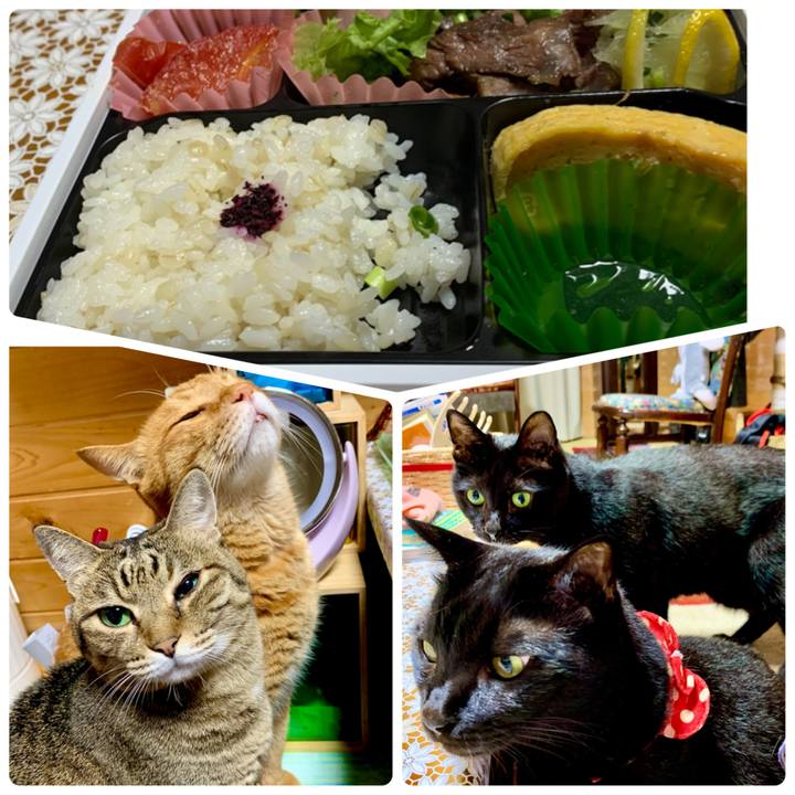 A34bffdf 5a0a 4b13 a873 810f811f4a70 1628852466654