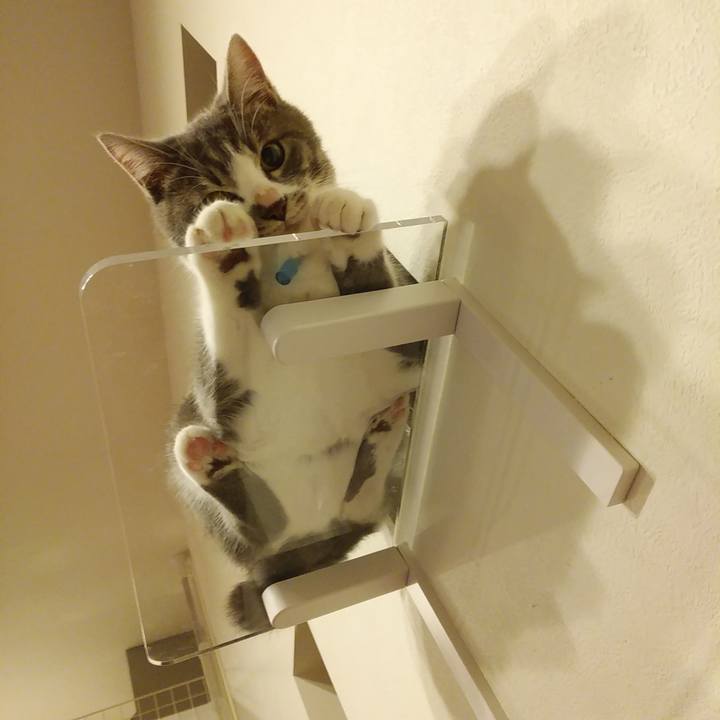 A34c3e90 48e1 42a1 834f de7017b648b1 1570877239309