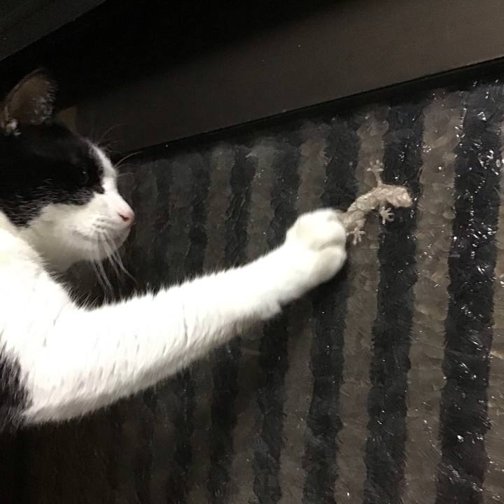 A34c65cc 27e4 4e48 bd93 c064d36583fe 1722263773910