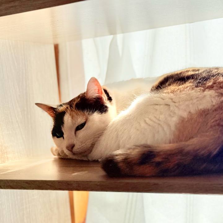 A34c6cd1 6a12 490d a9bc 608c5fbebec8 1741485392955