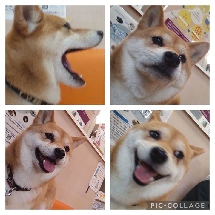 A34c6e2c 4182 4caa b7a4 b349cace7928 1712971498354