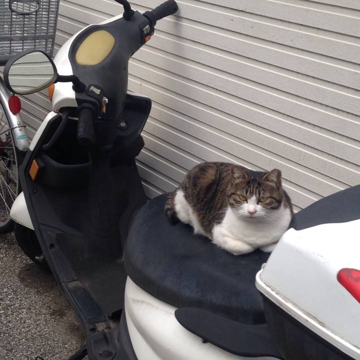 A34c7451 6cbc 4c68 b831 b53277e00dc5 1510736465965