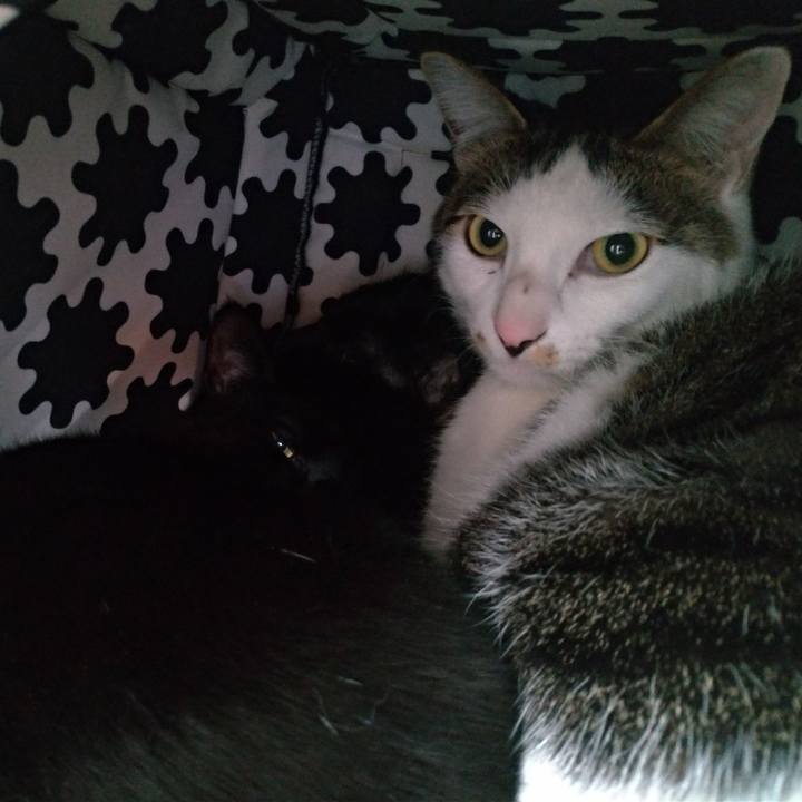 A34c7caa 4285 4056 8281 1493b3c64781 1553485335000