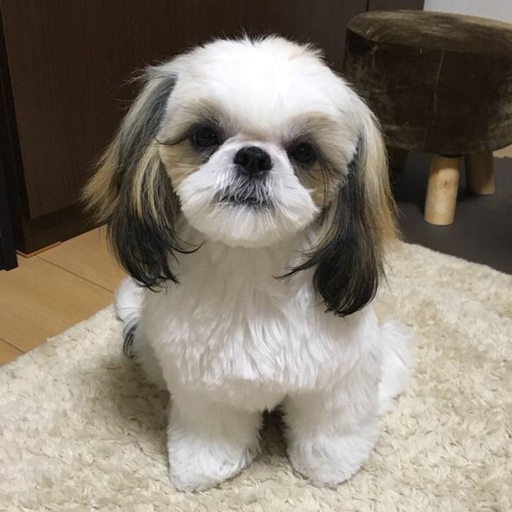 A34c9031 a84e 43e2 9457 1b854d1de9d8 1545651461472