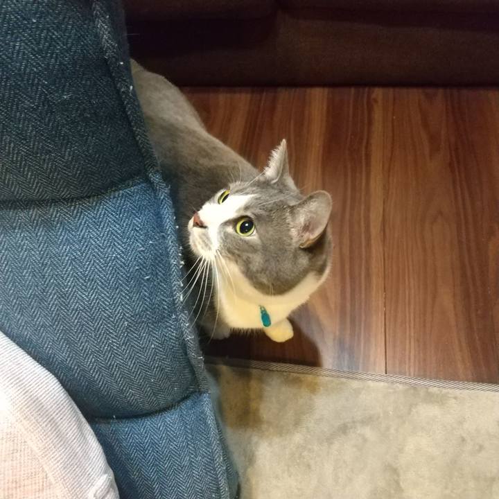 A34cc4b9 2466 4926 a663 54c4be9789a7 1646084802622