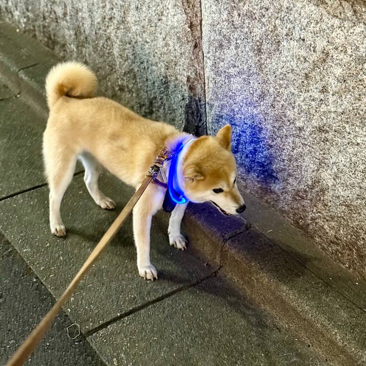 A34cd45b bf4c 452b 8b09 54700f8afc76 1762077214825