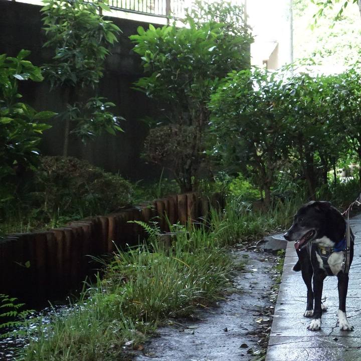 A34cdcd6 16e5 4c29 a3ea 9aea72046092 1750032806793