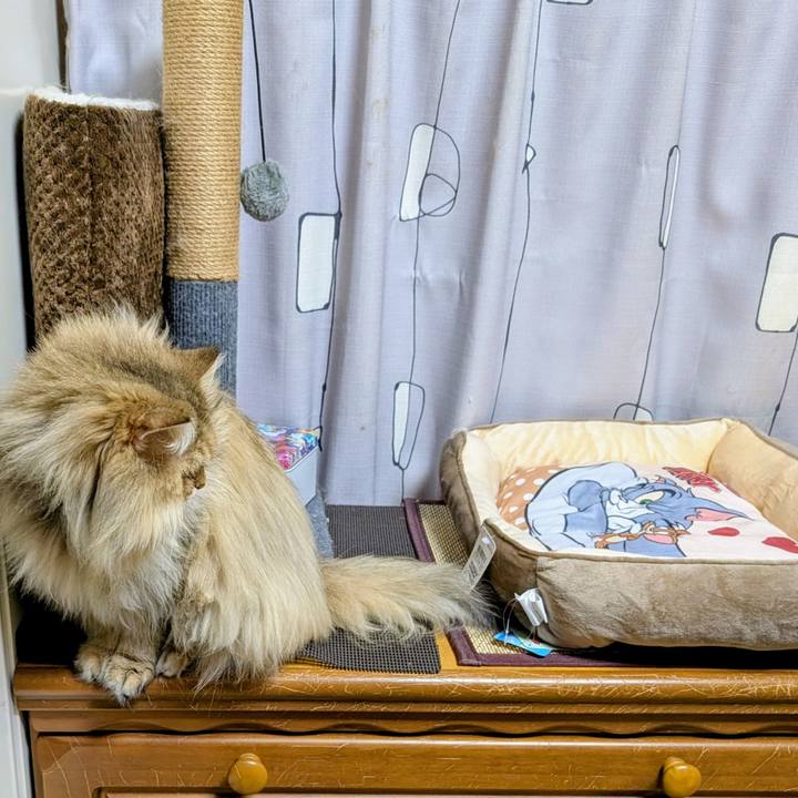 A34cee98 b9c4 41d6 8ecf 03336cd6181b 1765676630563