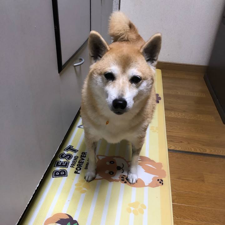 A34d235b c0ac 4ab0 b49a fd95c1015267 1574682776038