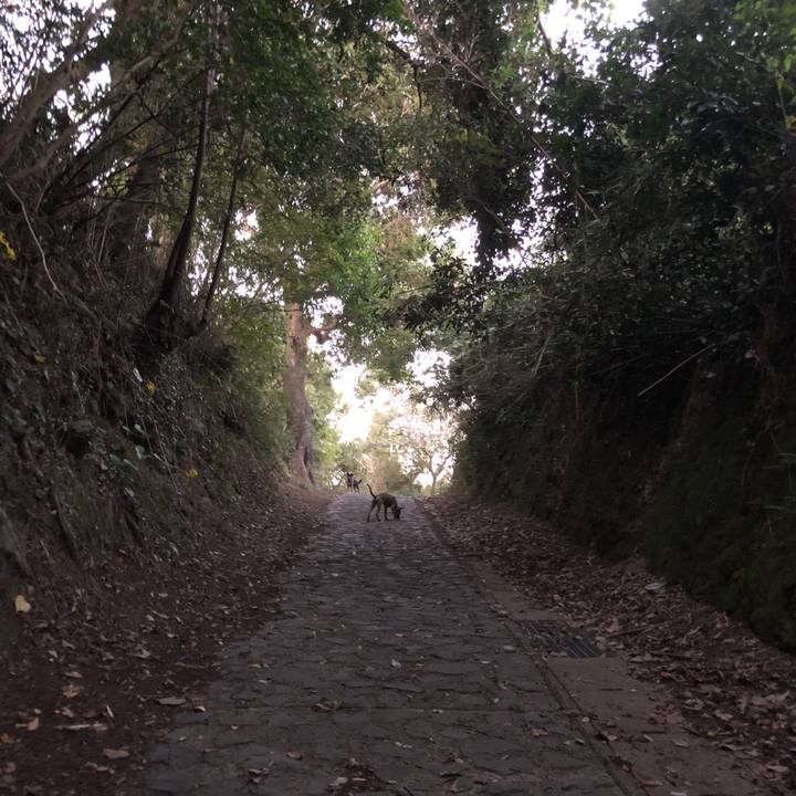 A34d2a8e 6a43 4d3f 9803 6d69ad74c1aa 1574337466734