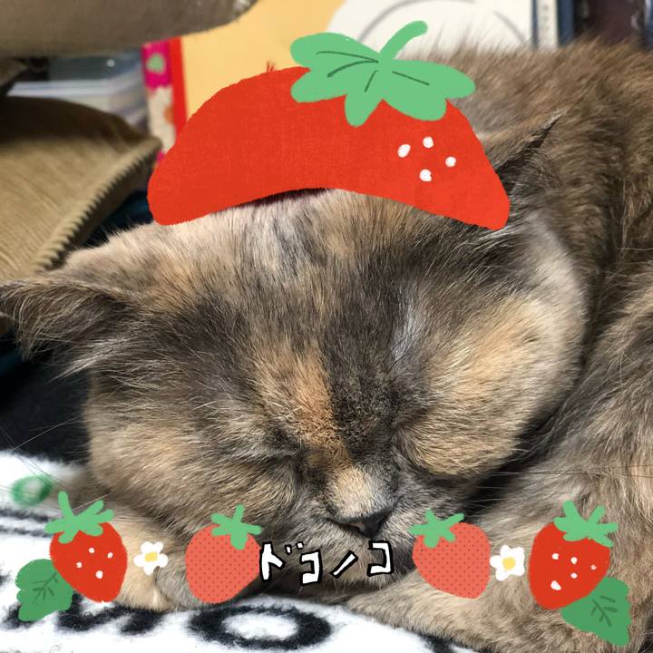 A34d529a 3cba 452d 9a3d 7fc9e2a061ba 1775406499138