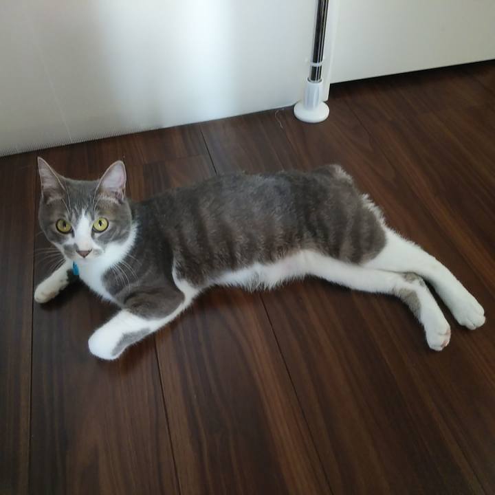 A34d617b 019a 4997 941c 51377c20f599 1590618863533