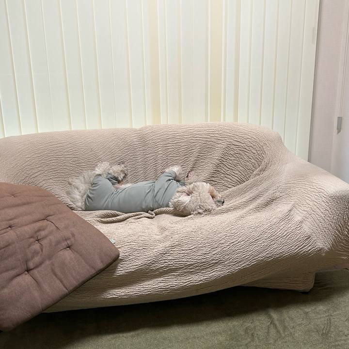 A34da20b 1a8c 4ae3 b544 5557df4d5700 1771546026627