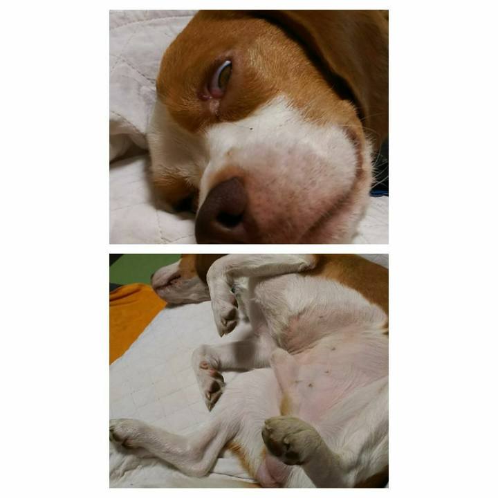 A34db094 9242 4a72 b786 3c4ed66a14d7 1541256937194