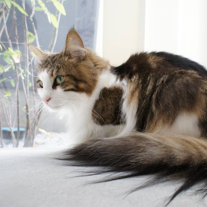 A34db5ba d03a 434b 9df6 c450f5d7e710 1539059503286