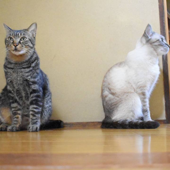 A34db89f 89ab 4229 bf59 8132bf593f5c 1534938895069