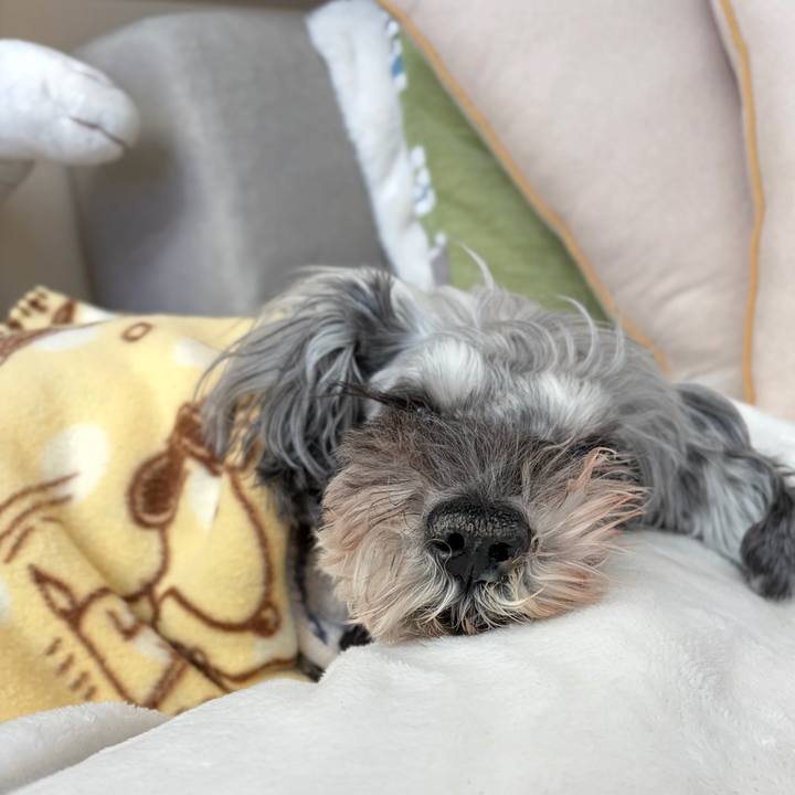 A34dbf36 2832 4a80 a9a2 2f39bbcbfdfb 1769322207195