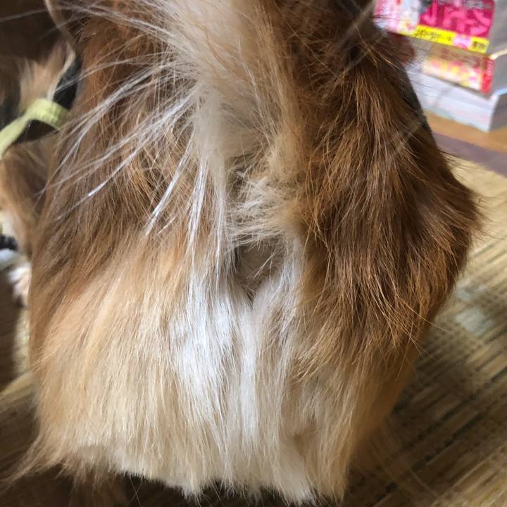 A34ddd55 c4b9 49e3 b064 8dc5a9ac8512 1523096228157