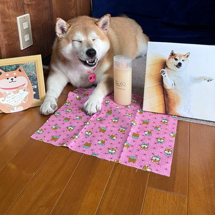 A34de2cb d9bc 4683 bfa0 13ee53432e5a 1692257909484