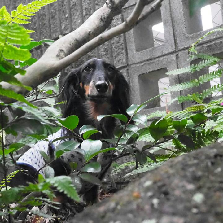 A34e04ad a5d1 4a01 b768 a15374ed72ff 1544061104165