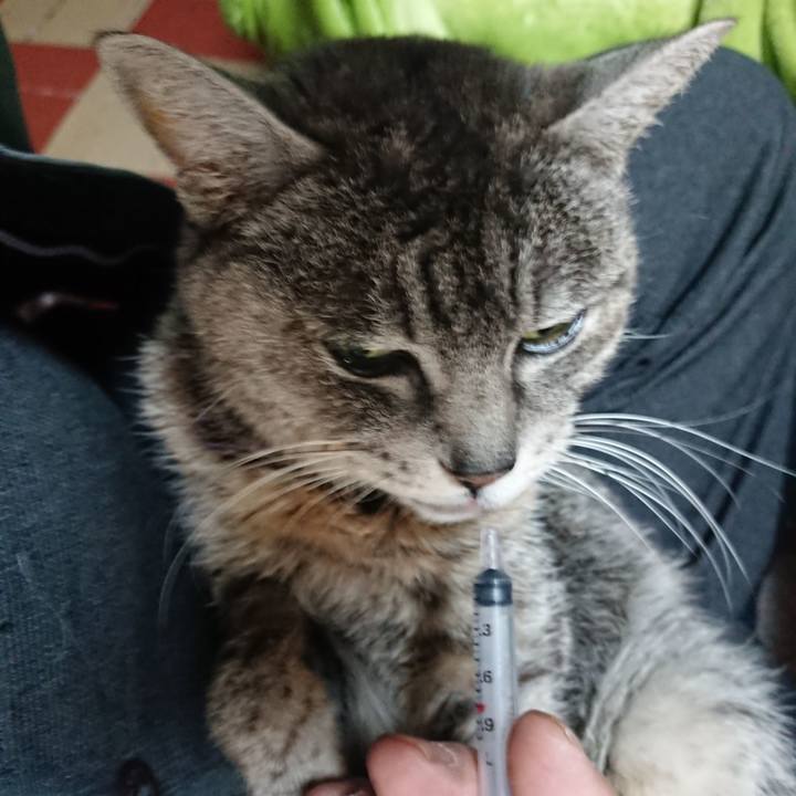 A34e0702 e2b4 478b b67a 3cc8f5fd1067 1583876712992