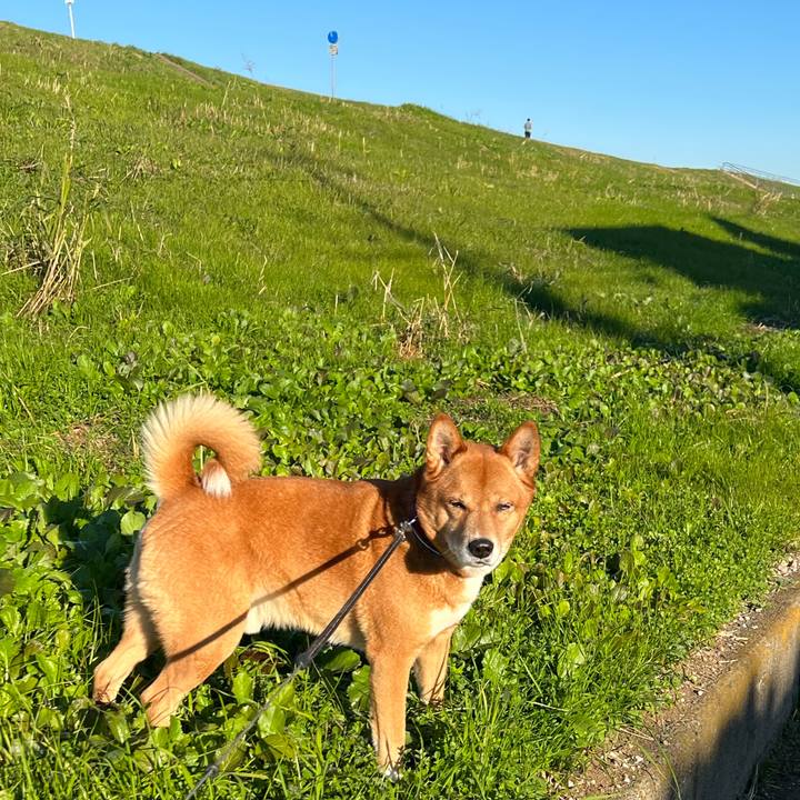 A34e6d98 3265 4c27 abf9 0d0ebbf2da6c 1701562123133