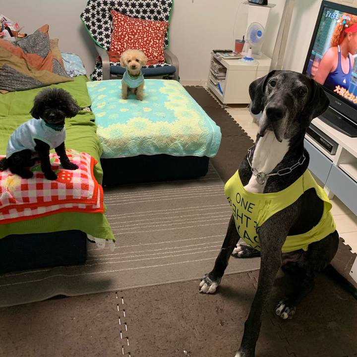 A34e78bb 8fed 4a80 b7ea 0c97853c4902 1590965492529