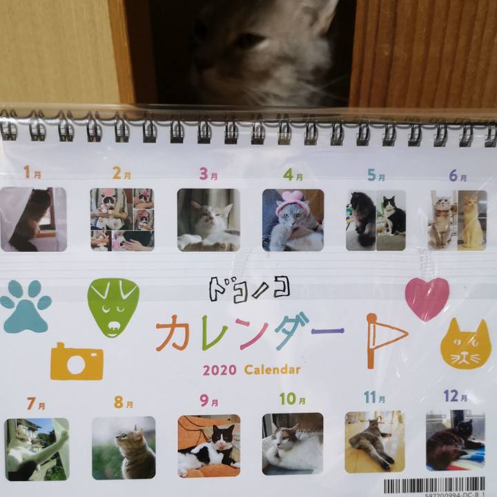 A34ebb76 0344 4876 855c 07a2e8172114 1575124787827