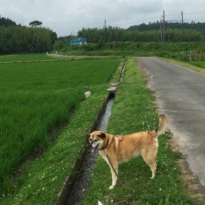 A34edf3a 4bab 438d 8591 d19474a6e034 1561889772366