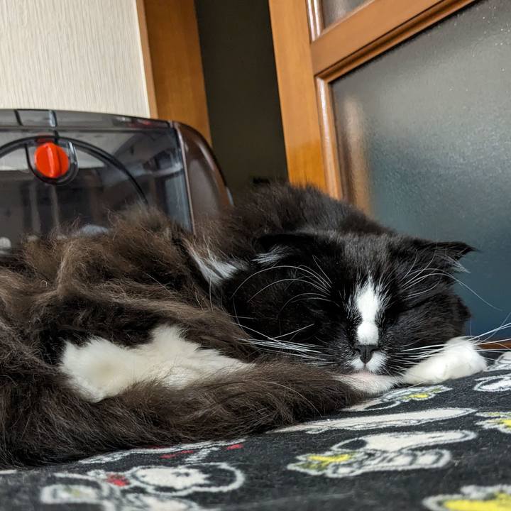 A34ee0b3 6739 423a 92ac c3edd7fd3706 1710593920290