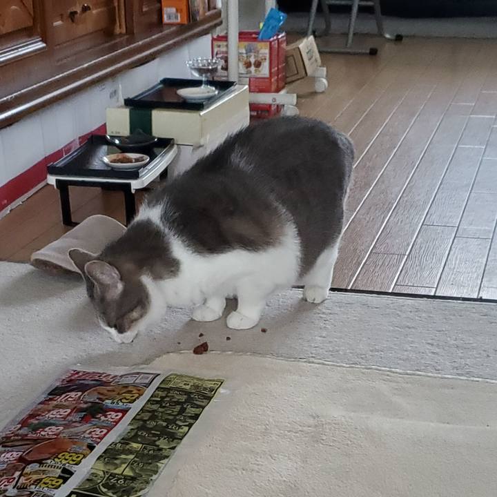 A34f0e2c fbc4 4038 a9eb 42338be3a609 1700927315775