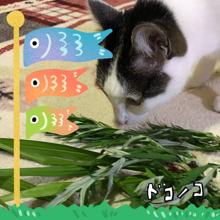 A34f8487 9003 4ad7 a2b3 7e60c228c3cb 1714958510243