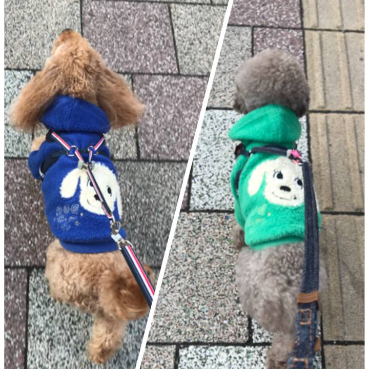 A34fc05b 743c 44e2 aeb9 301a0695dfbb 1519779518892