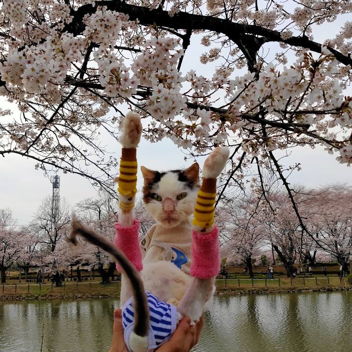 A34fc411 a6f9 49fd a209 3ebc22518b9f 1616830474359