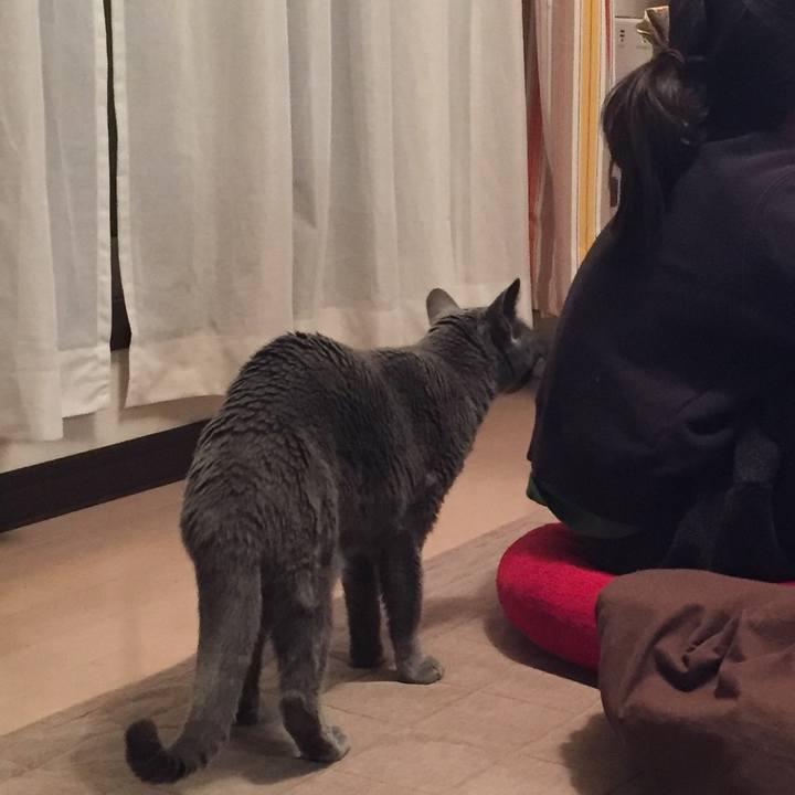 A34fcab6 e8fb 452c a7d7 d8246a51c44c 1518563966689