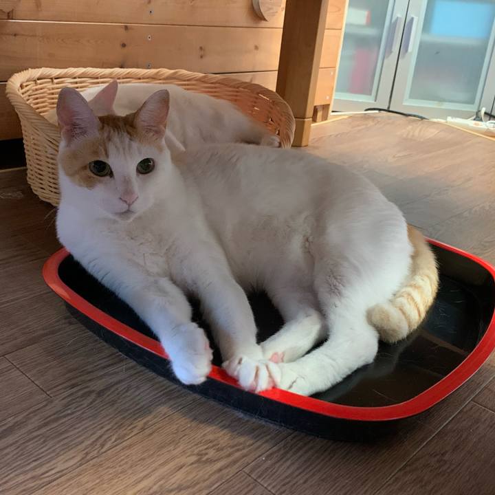 A3505260 f0fb 4070 8687 eae571606766 1617400636772